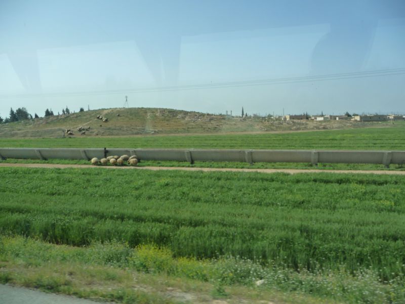 P1030326.JPG